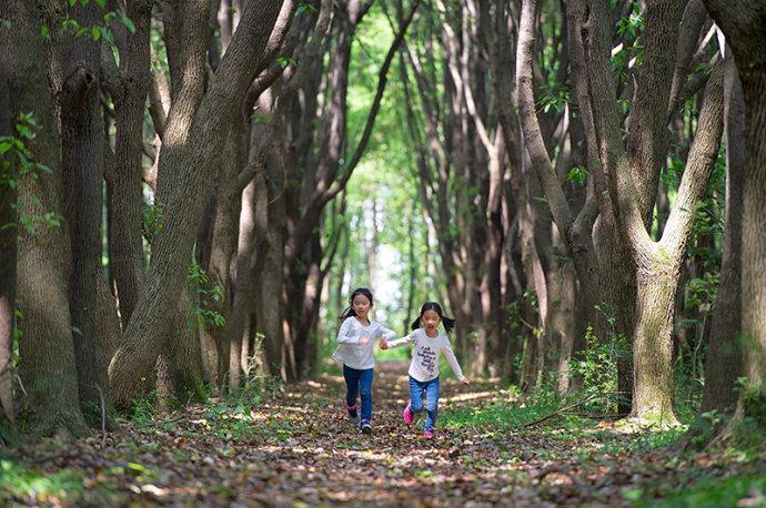 #美在春天#<a href='http://travel.sina.com.cn/jiangsu-lvyou/?from=b-keyword' ><em>江苏</em></a>最美的湿地公园,环境清幽游客极少