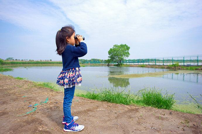 #美在春天#<a href='http://travel.sina.com.cn/jiangsu-lvyou/?from=b-keyword' ><em>江苏</em></a>最美的湿地公园,环境清幽游客极少