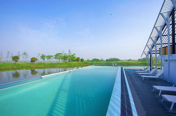 #美在春天#<a href='http://travel.sina.com.cn/jiangsu-lvyou/?from=b-keyword' ><em>江苏</em></a>最美的湿地公园,环境清幽游客极少