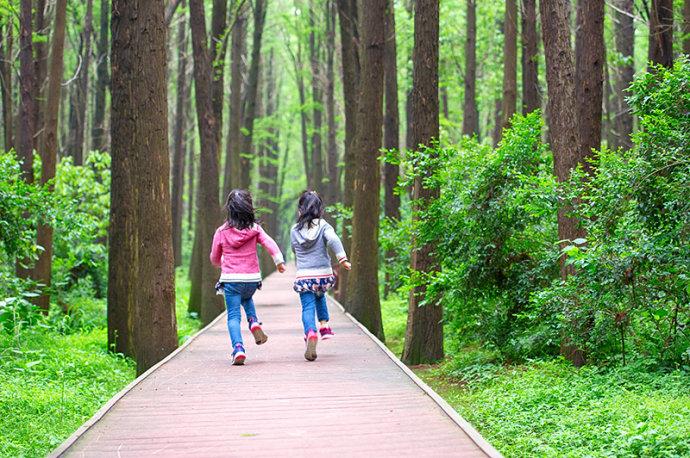 #美在春天#<a href='http://travel.sina.com.cn/jiangsu-lvyou/?from=b-keyword' ><em><em>江苏</em></em></a>最美的湿地公园,环境清幽游客极少