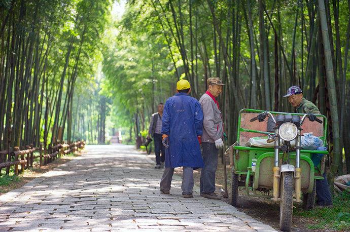#美在春天#<a href='http://travel.sina.com.cn/jiangsu-lvyou/?from=b-keyword' ><em>江苏</em></a>最美的湿地公园,环境清幽游客极少