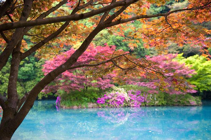 <a href='http://travel.sina.com.cn/hangzhou-lvyou/?from=b-keyword' ><em><em>杭州</em></em></a>有个江南小九寨,阳春三月竟如深秋般绚烂