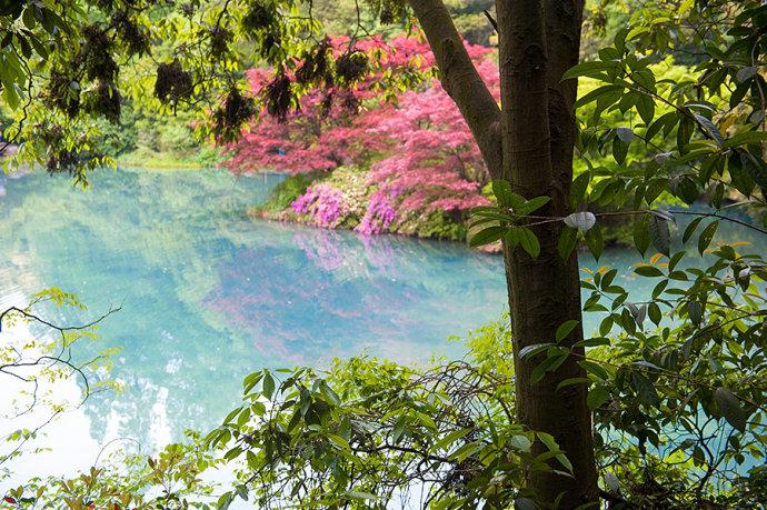 <a href='http://travel.sina.com.cn/hangzhou-lvyou/?from=b-keyword' ><em><em>杭州</em></em></a>有个江南小九寨,阳春三月竟如深秋般绚烂