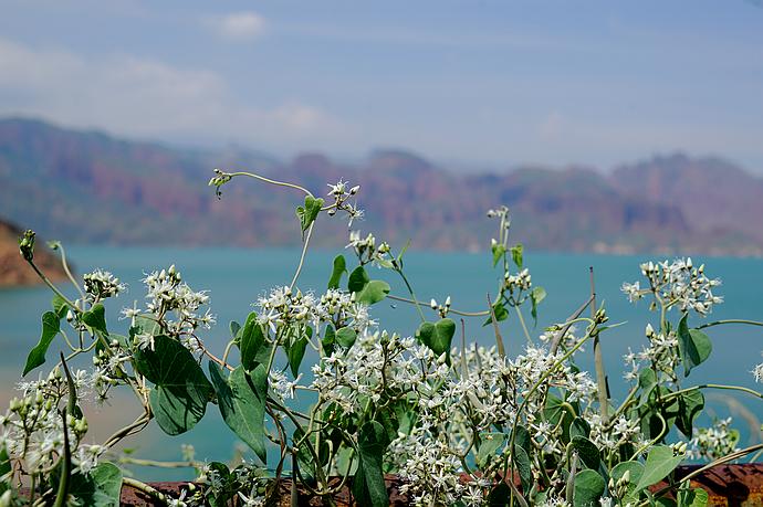 在<a href='http://travel.sina.com.cn/qinghai-lvyou/?from=b-keyword' >青海</a>,浊浪滔天的黄河也可以如此清澈美丽