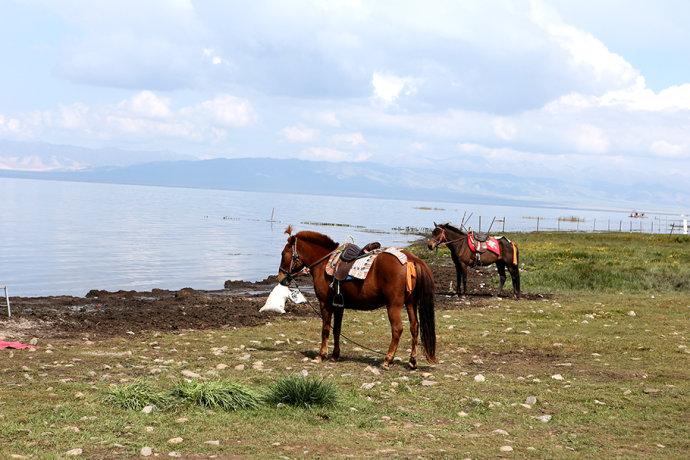 【<a href='http://travel.sina.com.cn/qinghai-lvyou/?from=b-keyword' >青海</a>】大美<a href='http://travel.sina.com.cn/qinghai-lvyou/?from=b-keyword' >青海</a>湖,青藏高原上的西海情歌