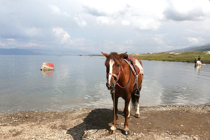 【<a href='http://travel.sina.com.cn/qinghai-lvyou/?from=b-keyword' >青海</a>】大美<a href='http://travel.sina.com.cn/qinghai-lvyou/?from=b-keyword' >青海</a>湖,青藏高原上的西海情歌
