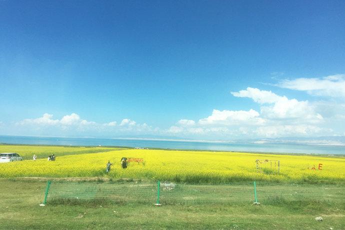 【<a href='http://travel.sina.com.cn/qinghai-lvyou/?from=b-keyword' >青海</a>】大美<a href='http://travel.sina.com.cn/hainanzhou_qinghaihu_6543-lvyou/?from=b-keyword' ><em>青海湖</em></a>,青藏高原上的西海情歌