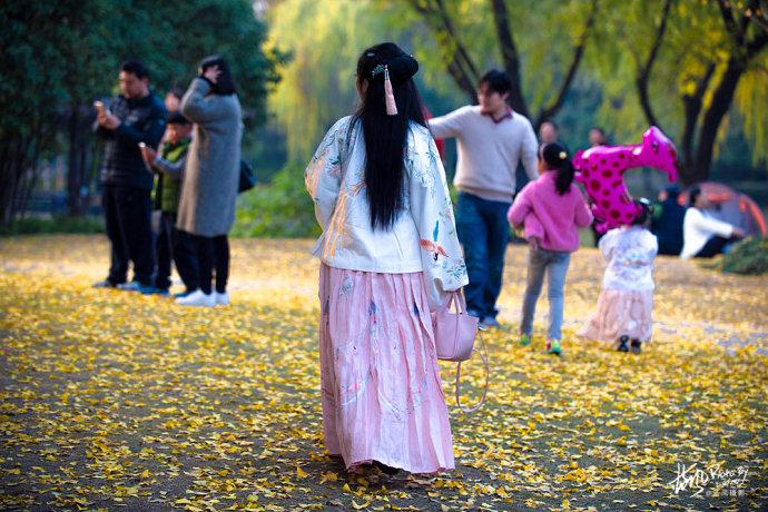 <a href='http://travel.sina.com.cn/shanghaishi-lvyou/?from=b-keyword' >上海</a>一千多岁银杏树王,至今枝繁叶茂,专门给它建一座公园