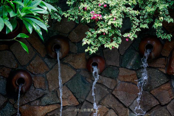 一场夏雨,令我们有走进东南亚雨季的感觉,找一池花泉,静静聆听雨声,夏雨不恼人