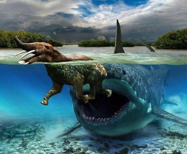 龙王鲸和巨齿鲨谁更厉害？巨齿鲨也许可以把龙王鲸按在地上摩擦