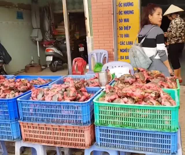 越南街头5元1斤青蟹，个头大膏蟹多，游客却不买账：我们又不傻！