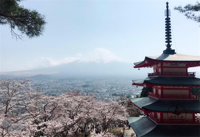 北海道最神奇的湖，不仅能拍摄富士山，而且能赏樱花