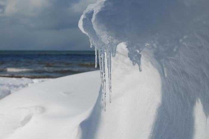 你若来，携一瓣故乡的雪花儿