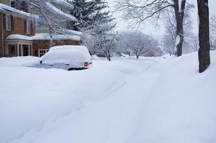 一场冬雪一场梦