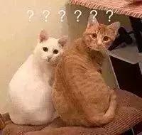 中国古代的人脸审美，是更喜欢小眼塌鼻大饼脸？？