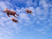 月销全国仅一台，整个省难找同款，这车为何惨至如此？