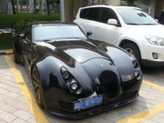 路边停车遇辆跑车，车标是动物，可不是捷豹法拉利，完全不认识