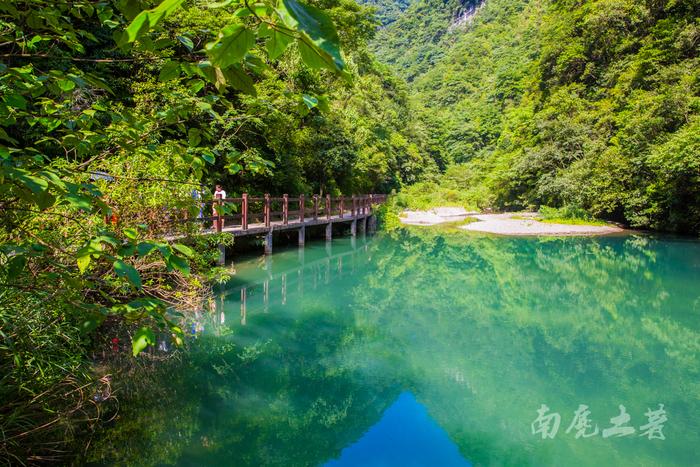 #夏天的味道#<a href='http://travel.sina.com.cn/nanchuanq_bitanyougu_18909-lvyou/?from=b-keyword' >碧潭幽谷</a>寻觅萤火虫,沿途遭猴群收买路钱