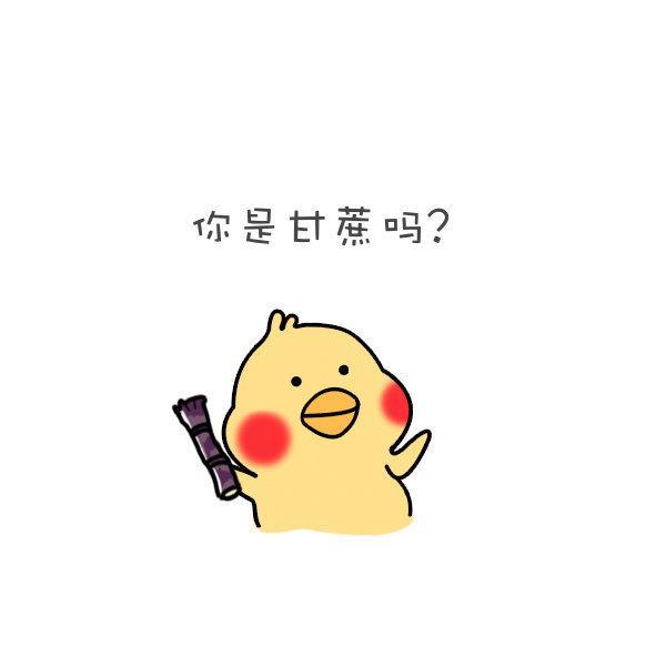 搞笑图片：小黄鸡表情包：你是甘蔗吗