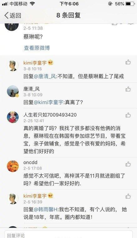 “二婚”的韩国演员蔡琳和赵丽颖前男友高梓淇疑似离婚？公司辟谣