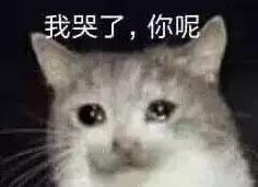 你们约好的吧?一起拿个三四十分,这让我很难做人