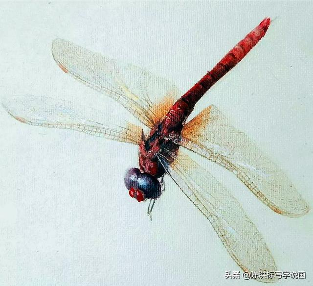 冷军画红蜻蜓，挑战齐白石，连翅膀都透明的，却败给了