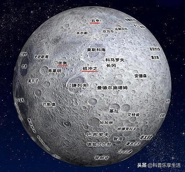 猩猩夏特克上大学、会手语，最后被关动物园，人类为何...