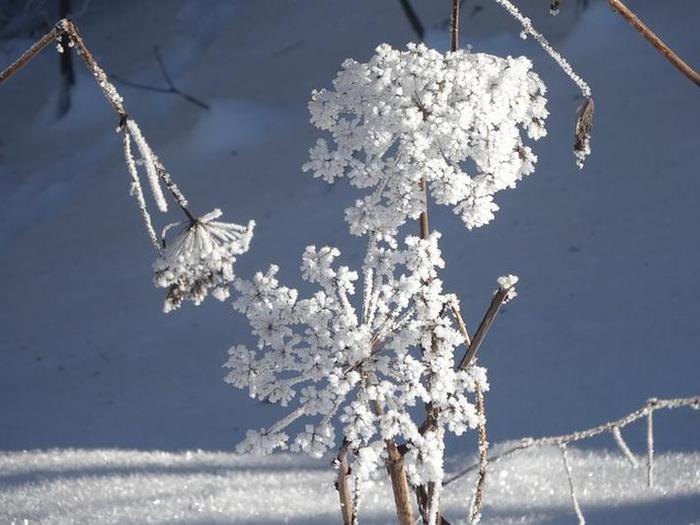 这个冬季的雪