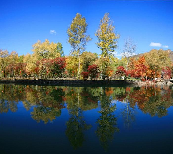 京郊一游，长城峡谷和湿地，延庆景点小盘点