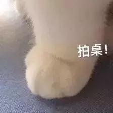 中国古代的人脸审美，是更喜欢小眼塌鼻大饼脸？？