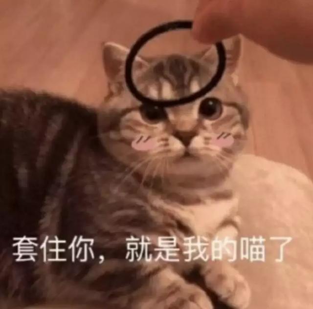 中国古代的人脸审美，是更喜欢小眼塌鼻大饼脸？？