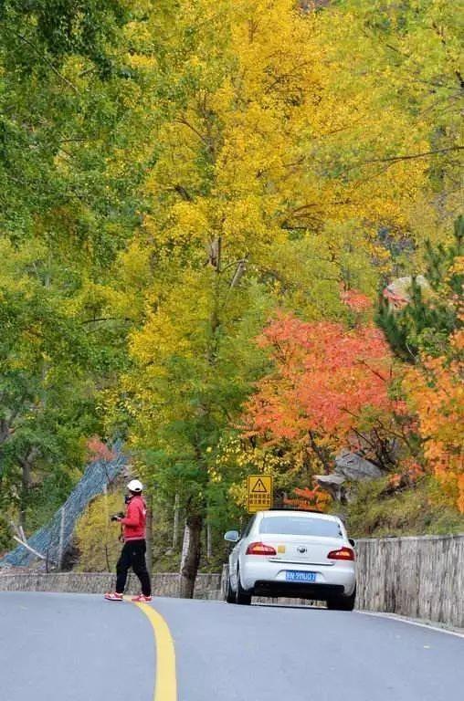 快看看京郊这11条又美又险的盘山公路，您都自驾过哪一条？