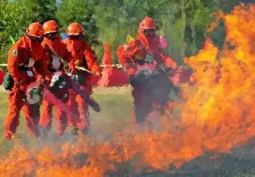 盘点标榜武警部队10个“最”，只有更好，没有最好的武警部队