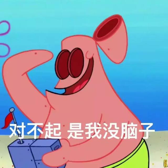 表情包：对不起是我没脑子