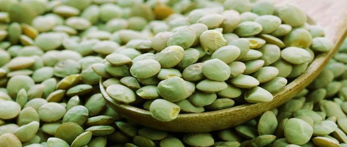 现在扁豆的种植很简单了, 而且好吃, 营养丰富