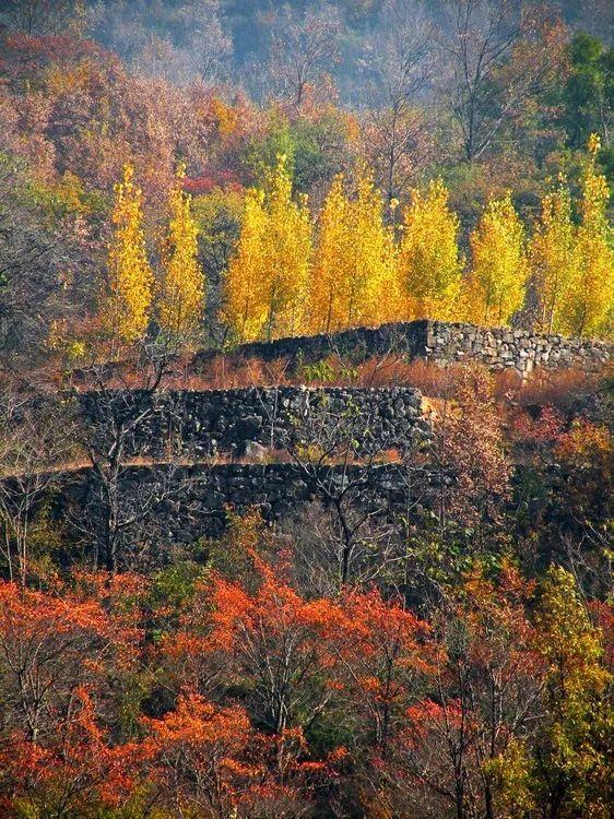 太行山最美20个地方的秋色，此时自驾正当季！