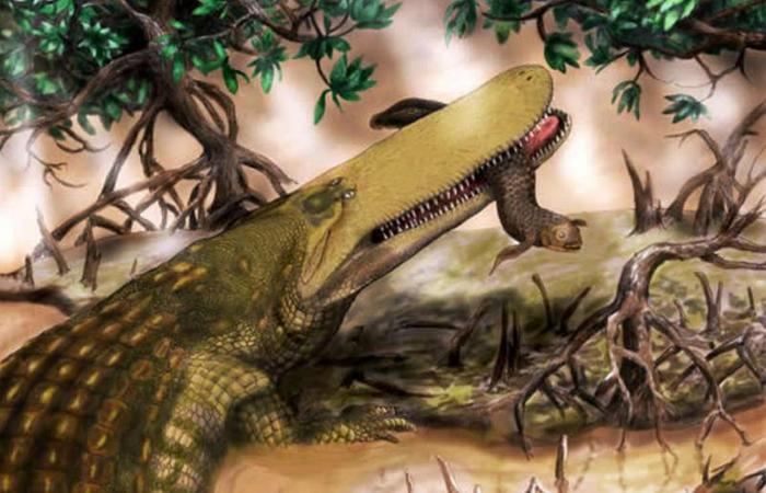 鳄鱼这种神奇的物种是怎么从几亿年前存在到现在的？