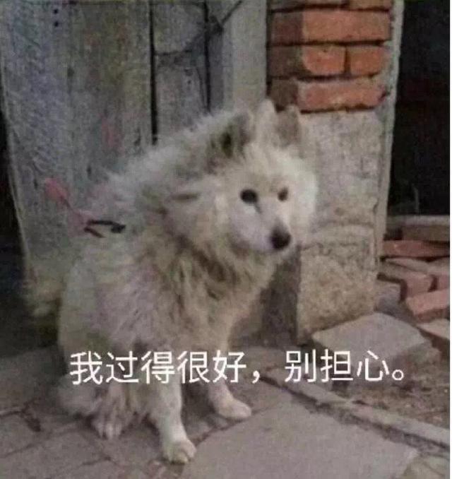 表情包:我要把你摁在墙上亲