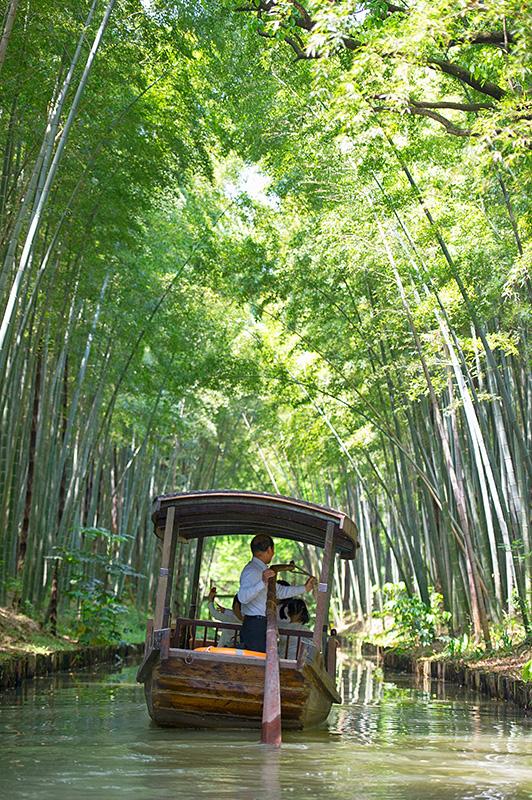 #美在春天#<a href='http://travel.sina.com.cn/jiangsu-lvyou/?from=b-keyword' ><em>江苏</em></a>最美的湿地公园,环境清幽游客极少