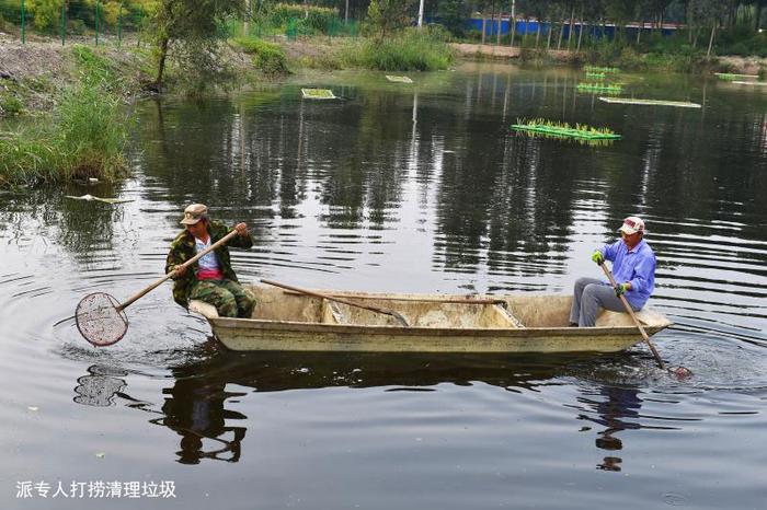 问渠那得清如许——河北建设集团安装公司雄安纳污坑塘治理纪实