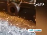 台风“山竹”袭香港 过万条鱼发疯跳出水面