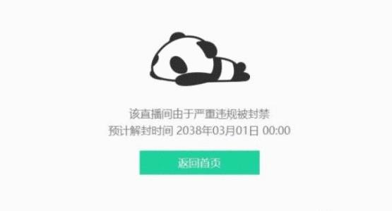 揭秘熊猫直播服务器流量费用真相