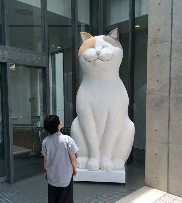 日本艺术馆猫咪雕塑展示，以假乱真，吸引了一众真猫前来窥看