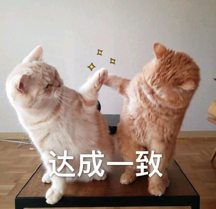 表情包:我饿了,我要吃好吃的