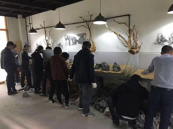 水草造景入门到精通，水草造景培训班找本色水景，水族箱造景培训