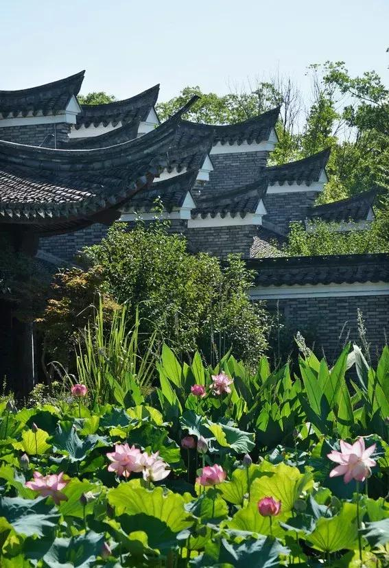 以爱情为主题，梁祝文化公园