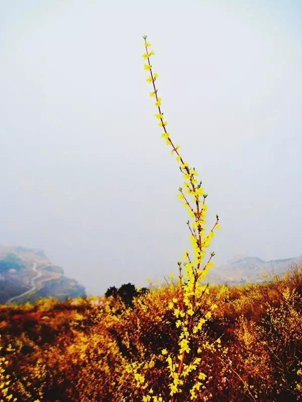 太行山最美20个地方的秋色，此时自驾正当季！