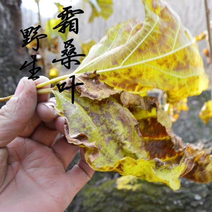 它是天然“降血糖藥”，效果比苦瓜好，白開水里撒一把，血糖輕鬆降