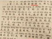 媒体:外婆成方言 周杰伦的《外婆》改为《姥姥》?