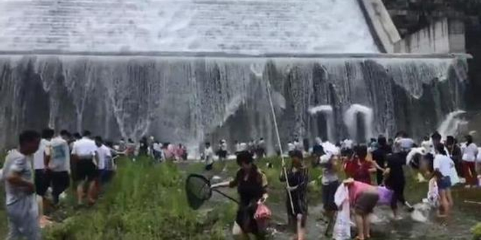 水库漫坝2万斤鱼从天而降 村民现场疯抢捕捞